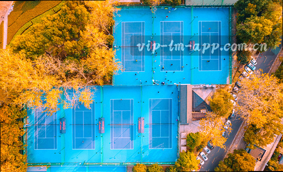 手持卡片切换流畅,指尖触感细腻无延迟
